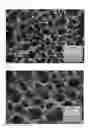 Fig. 07 - MEDICAL RESIN COMPOSITION, MANUFACTURING PROCESS THEREFOR AND MEDICAL KIT