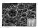 Fig. 09 - MEDICAL RESIN COMPOSITION, MANUFACTURING PROCESS THEREFOR AND MEDICAL KIT