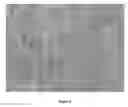 Fig. 08 - ROOM TEMPERATURE IONIC LIQUID-EPOXY SYSTEMS AS DISPERSANTS AND MATRIX MATERIALS FOR NANOCOMPOSITES