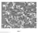 Fig. 09 - ROOM TEMPERATURE IONIC LIQUID-EPOXY SYSTEMS AS DISPERSANTS AND MATRIX MATERIALS FOR NANOCOMPOSITES