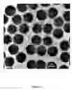Fig. 30 - Efficient and recyclable heterogeneous nanocatalysts