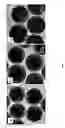 Fig. 33 - Efficient and recyclable heterogeneous nanocatalysts