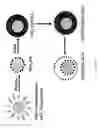 Fig. 40 - Efficient and recyclable heterogeneous nanocatalysts