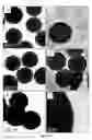 Fig. 43 - Efficient and recyclable heterogeneous nanocatalysts