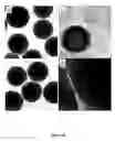 Fig. 44 - Efficient and recyclable heterogeneous nanocatalysts