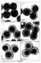 Fig. 46 - Efficient and recyclable heterogeneous nanocatalysts