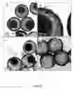 Fig. 47 - Efficient and recyclable heterogeneous nanocatalysts