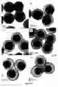 Fig. 48 - Efficient and recyclable heterogeneous nanocatalysts