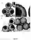 Fig. 49 - Efficient and recyclable heterogeneous nanocatalysts