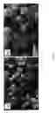 Fig. 50 - Efficient and recyclable heterogeneous nanocatalysts