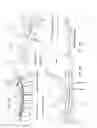 Fig. 11 - Intradural endoscope