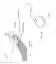 Fig. 14 - Intradural endoscope
