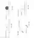 Fig. 17 - Intradural endoscope