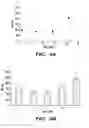 Fig. 13 - SERICIN EXTRACTED FABRICS