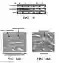 Fig. 20 - SERICIN EXTRACTED FABRICS