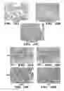 Fig. 22 - SERICIN EXTRACTED FABRICS