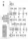 Fig. 24 - SERICIN EXTRACTED FABRICS