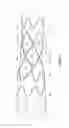 Fig. 06 - Thoracic aorta stent graft