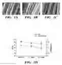 Fig. 02 - Sericin extracted fabrics