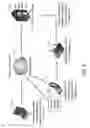 Fig. 07 - Provision of alert messages to customers of an establishment