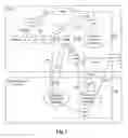 Fig. 02 - METHOD, APPARATUS AND SYSTEM FOR SELECTING POLICY AND CHARGING RULES FUNCTION ENTITY