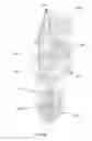 Fig. 06 - MINIMALIST GOLF SHOE