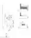 Fig. 26 - Press-forming method of component with L shape