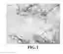 Fig. 02 - Branched nanowire preparation methods, compositions, and articles
