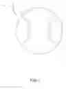Fig. 02 - COATED TENNIS BALL