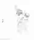 Fig. 06 - TWO-STROKE HEAVY FUEL ENGINE