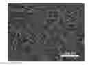Fig. 01 - Fibrous substrate-based hydroprocessing catalysts and associated methods