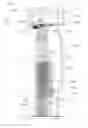 Fig. 01 - BEVERAGE CONTAINER WITH HEATING OR COOLING INSERT AND METHOD OF MAKING SAME