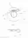 Fig. 06 - Electric floating ball valve