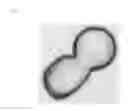 Fig. 02 - Synthetic amorphous silica powder and method for producing same