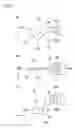 Fig. 08 - Paper feeder and image forming apparatus including the same