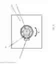 Fig. 09 - Margin assessment of ex-vivo sample