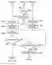 Fig. 24 - Decryption of access codes of diverse protocols in barrier operator systems