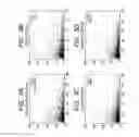 Fig. 06 - Image processing method for mass spectrum image, program, and apparatus