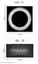 Fig. 11 - Image processing method for mass spectrum image, program, and apparatus