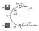Fig. 01 - Adiabatic coupler for coiled optical fiber devices