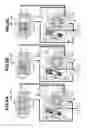 Fig. 09 - Variable displacement vane pump having multiple dampening springs