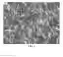 Fig. 02 - NOVEL SOLVENTS FOR METAL ION REDUCTION METHODS, COMPOSITIONS, AND ARTICLES