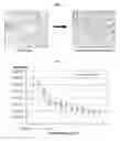 Fig. 02 - EXTERNAL COMPOSITION FOR SKIN CONTAINING MANASSANTIN B AS ACTIVE INGREDIENT AND THE USE THEREOF FOR SKIN WHITENING