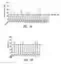Fig. 02 - Anti-CD40 antibodies
