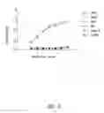 Fig. 06 - Anti-CD40 antibodies