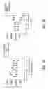 Fig. 09 - Anti-CD40 antibodies