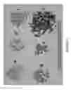 Fig. 02 - Engineered plant biomass particles coated with bioactive agents