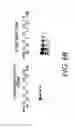Fig. 09 - LABELING AND DETECTION OF POST TRANSLATIONALLY MODIFIED PROTEINS