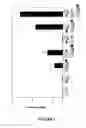 Fig. 05 - Bio-engineered multi-enzyme complexes comprising xylanases and uses thereof