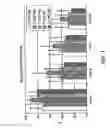 Fig. 02 - Cryoconserved mature dendritic cells
